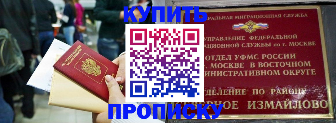 временная прописка в Мурино